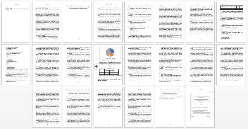 Отчет по практике на тему: Особенности и исполнение требований оформления управленческой документации в некоммерческой организации