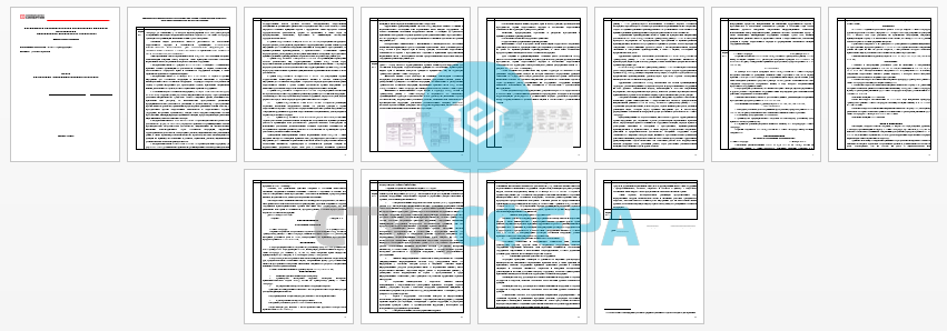 Отчет по практике на тему: Учебная практика в МВД. Магистратура. Синергия.