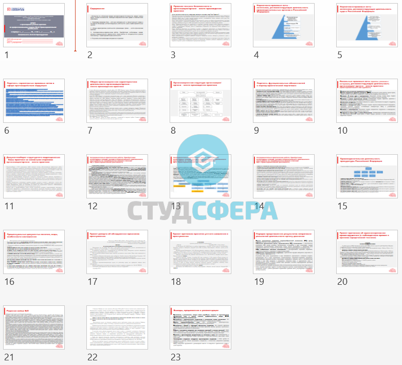 Отчет по практике на тему: АНО ВПО СИНЕРГИЯ на базе ООО по профессиональному модулю ПМ.02 Правоохранительная деятельность
