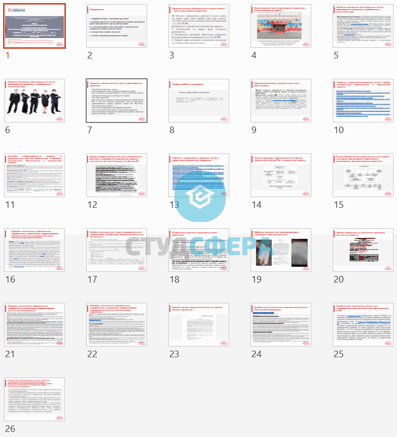 ОТЧЕТ о прохождении учебной практики по профессиональному модулю ПМ.01 Обеспечение реализации прав граждан в сфере пенсионного обеспечения и социальной защиты  (СИНЕРГИЯ) - Рисунок 2