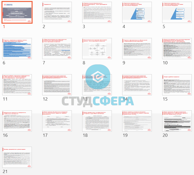 АНО ВО СИНЕРГИЯ. ОТЧЕТ о прохождении учебной практики по профессиональному модулю ПМ.01 Правоприменительная деятельность - Рисунок 2
