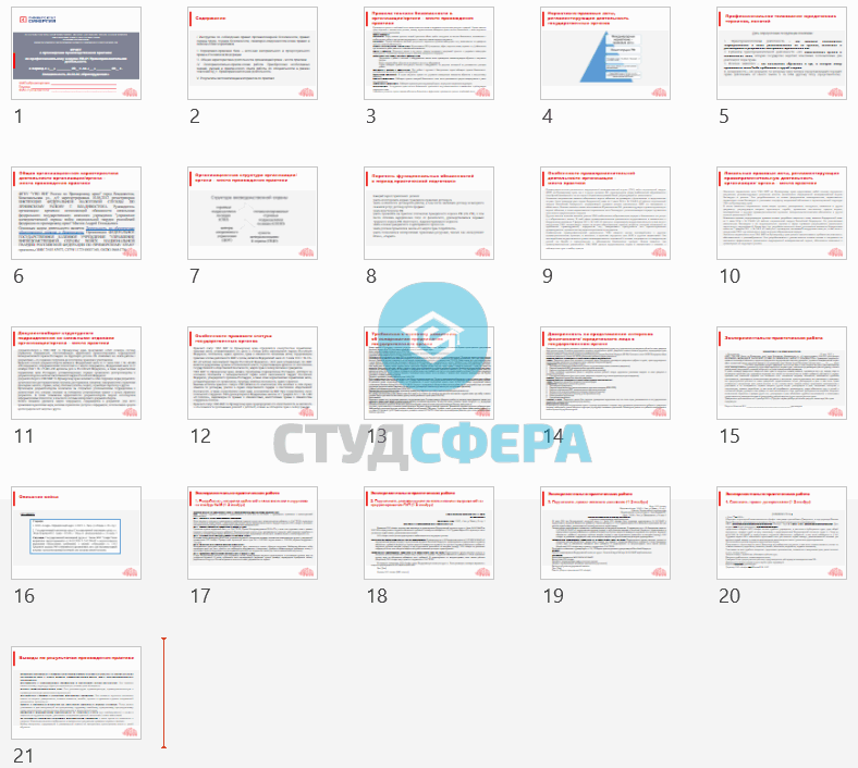 Отчет по практике на тему: АНО ВО Синергия практика в ВНГ. Альфа.